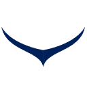 Condor Security / Condor Tech logo