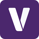 Vumetric logo